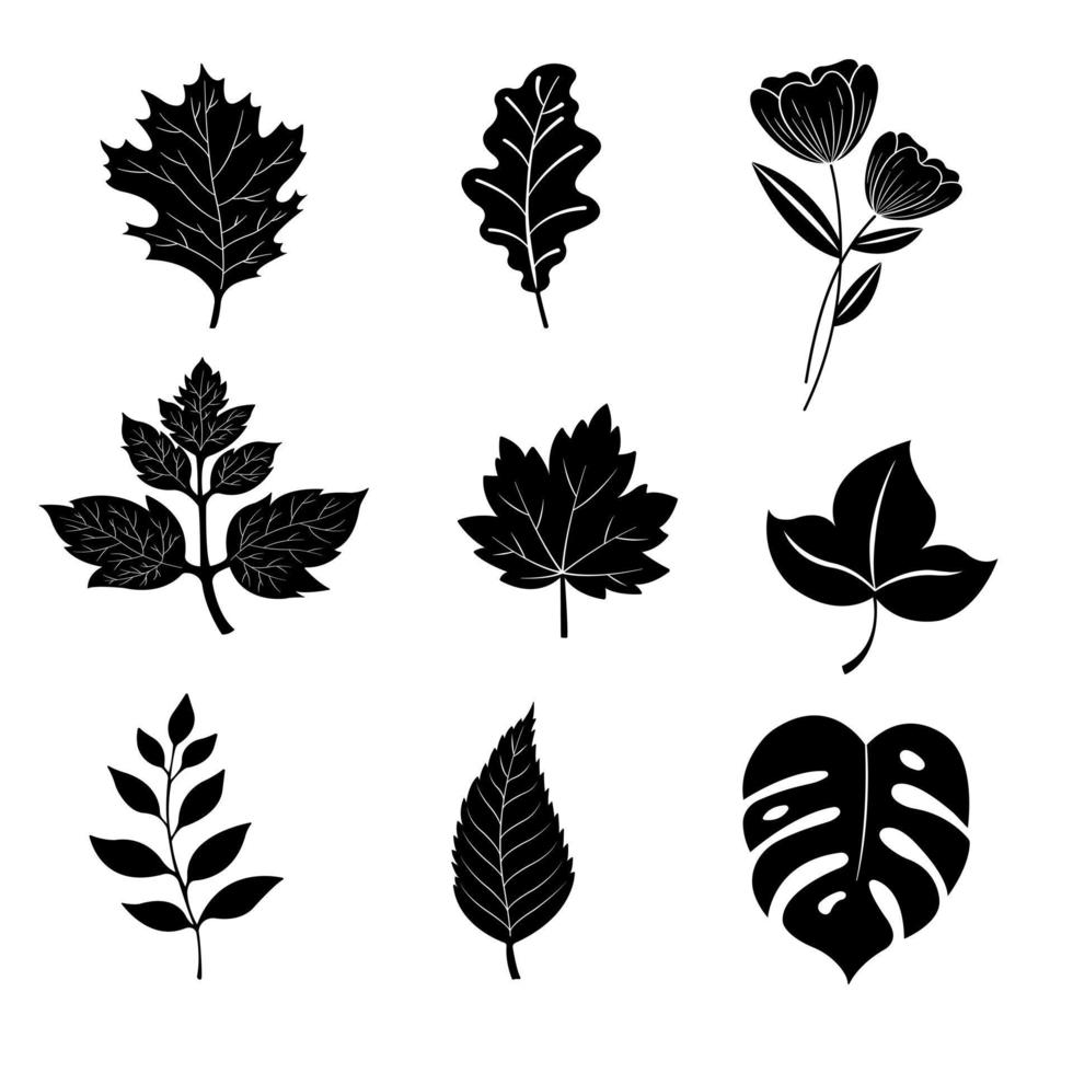 A set of leaf vector silhouettes isolated on a white background