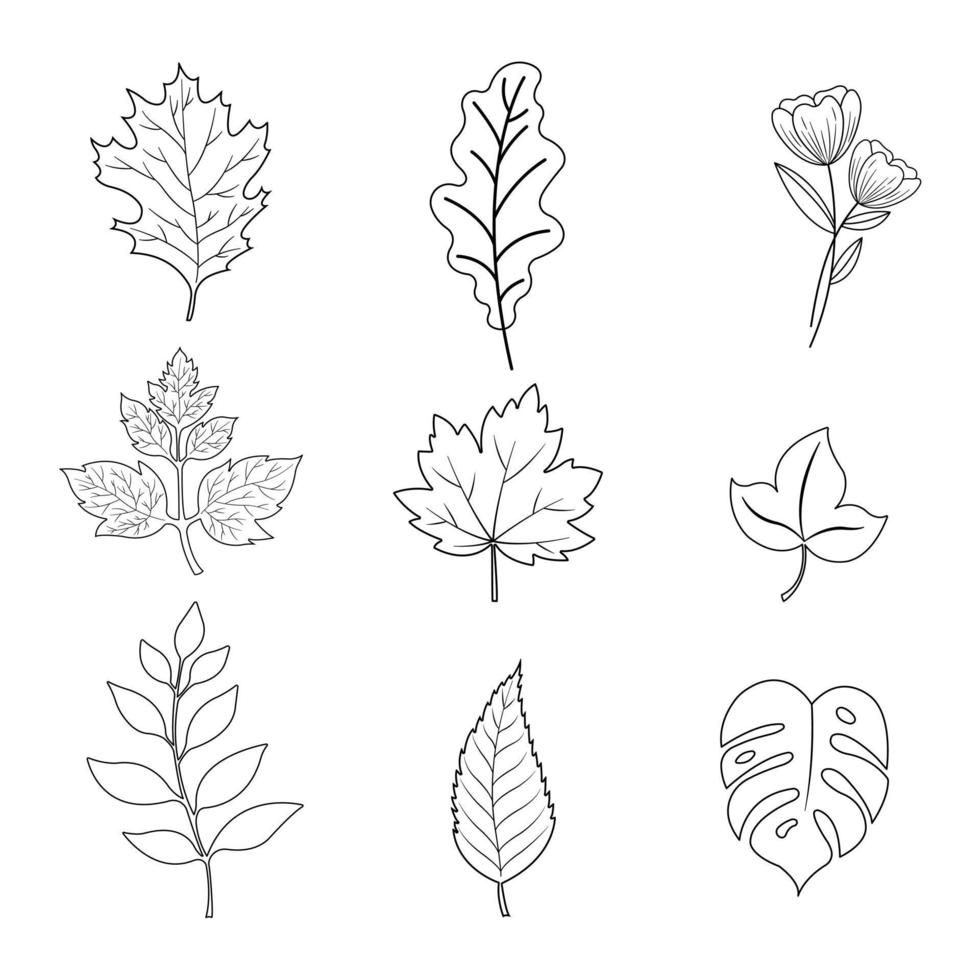 A set of leaf outline vector silhouettes isolated on a white background