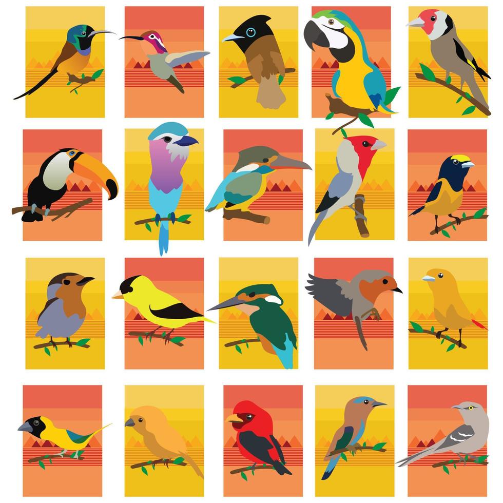 Big vector set with birds in cartoon style. Vector collection with birds on a colorful background.