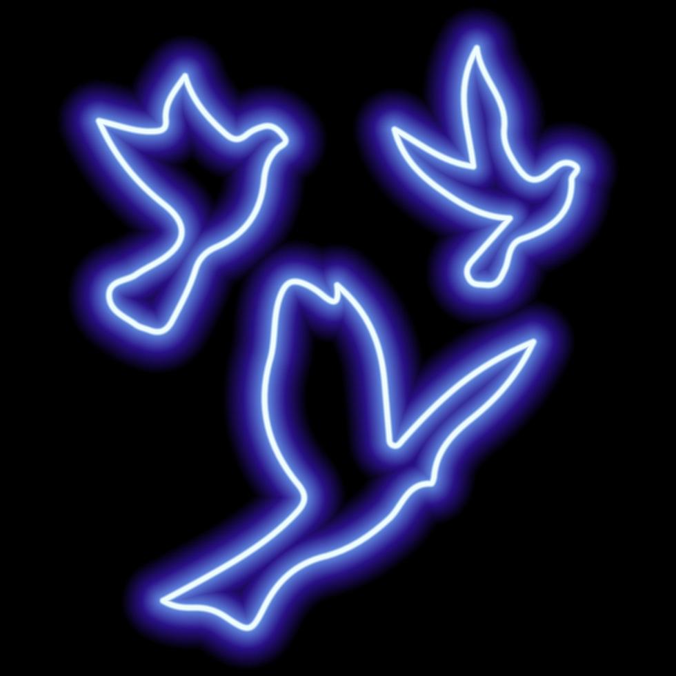 Neon blue outline of hummingbirds on a black background. One object. Vector icon illustration