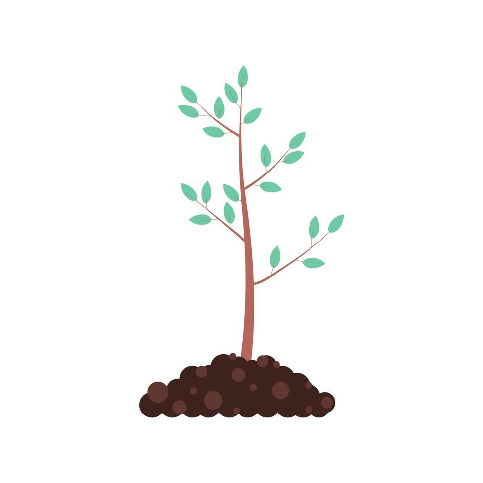 A freshly planted tree. The concept of forest conservation vector