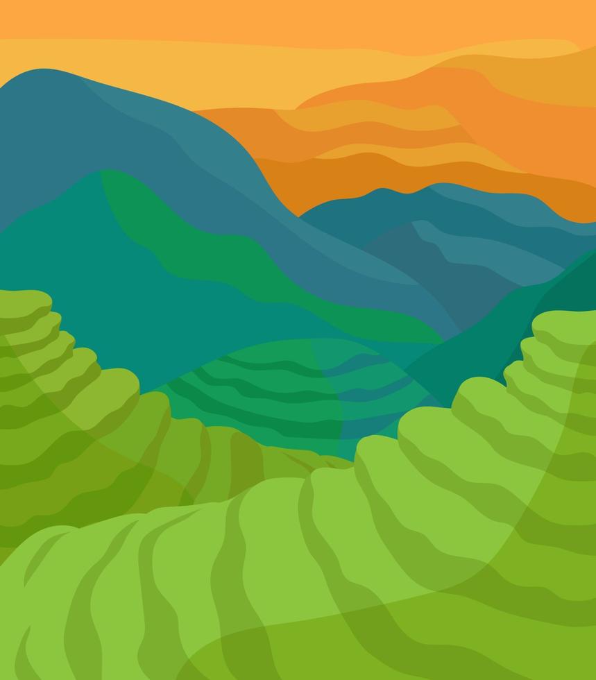 plantación de té, paisaje de montañas, campos de té vector