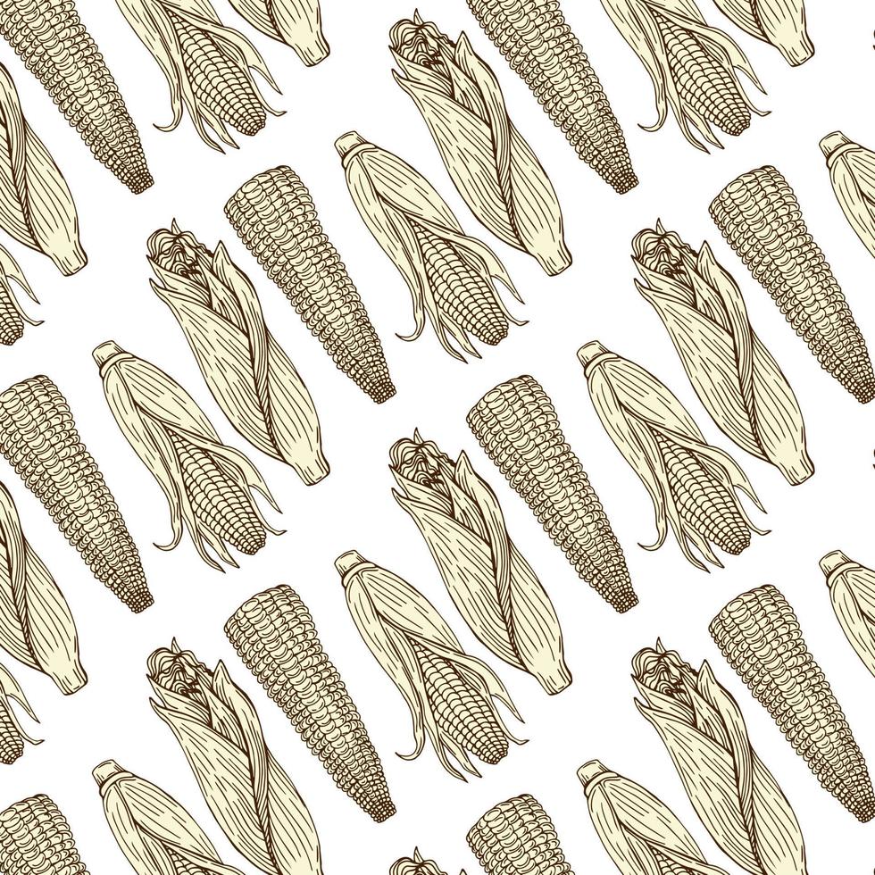 Corn on the cob pattern on a white background.The vector pattern can be used for packaging, textiles, coloring books, and notebook covers.