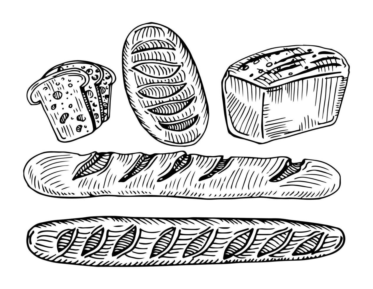 Fresh baked bread set. French baguette, loaf buns, bun with paper package. Top view. Hand drawn sketch style illustrations for bakery shop and package. vector