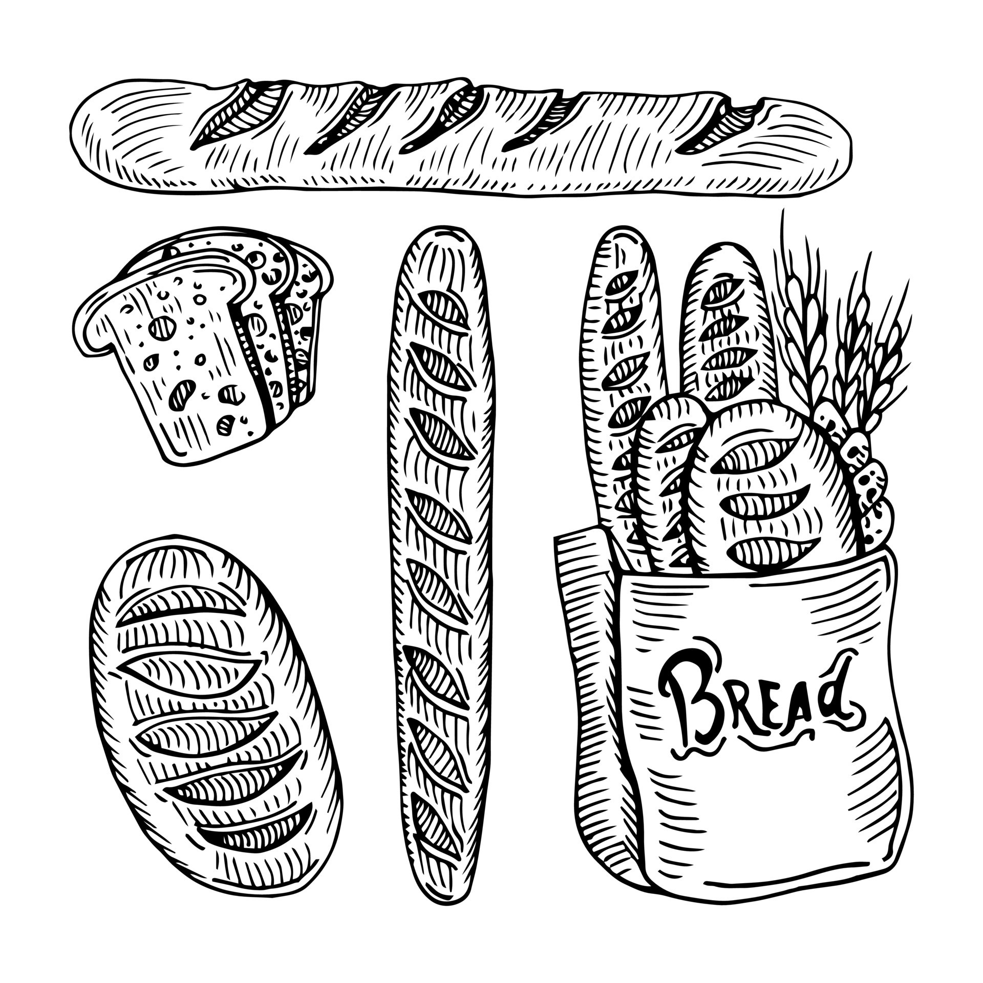 Vector hand drawn illustration set of different breads wheat germ, long