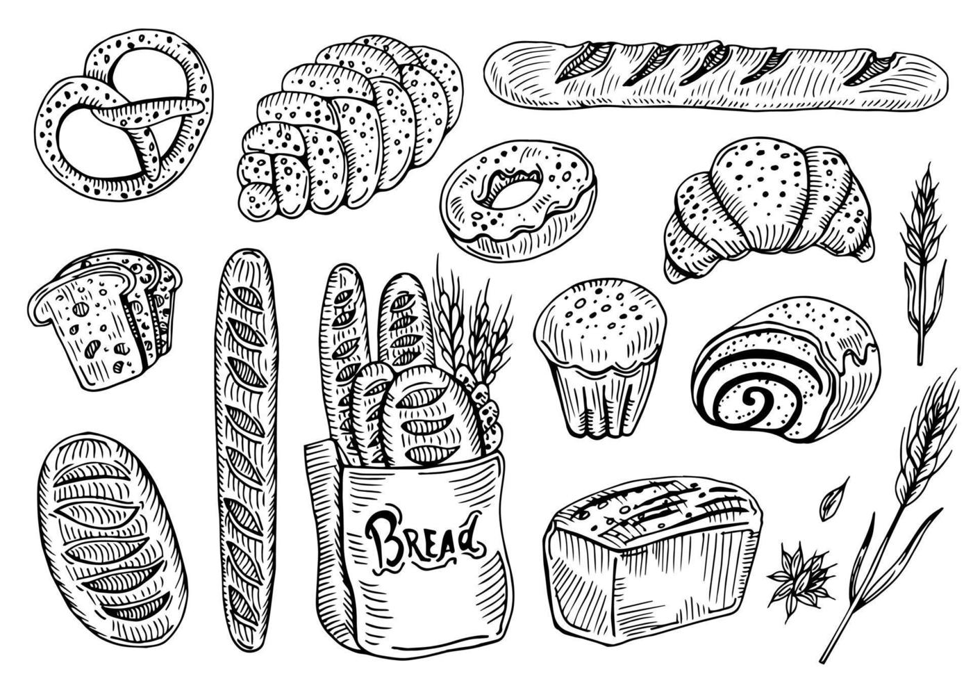 collection of natural elements of bread sketch vector illustration