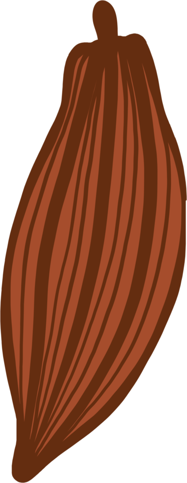 cacao fruit doodle freehand drawing. png