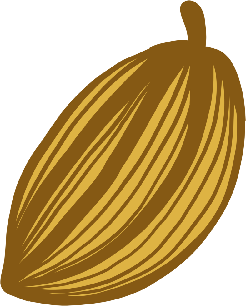 cacao fruit tekening uit de vrije hand tekening. png