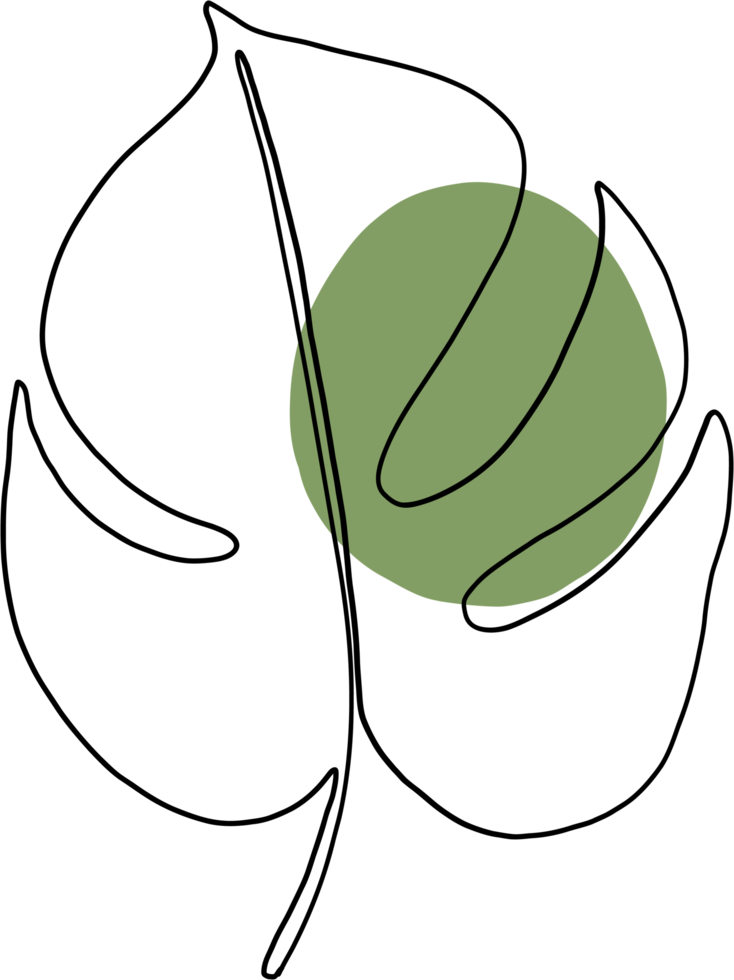 simplicity monstera plant freehand continuous line drawing png