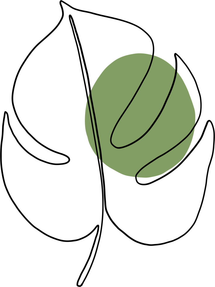 simplicidade monstera planta desenho de linha contínua à mão livre png