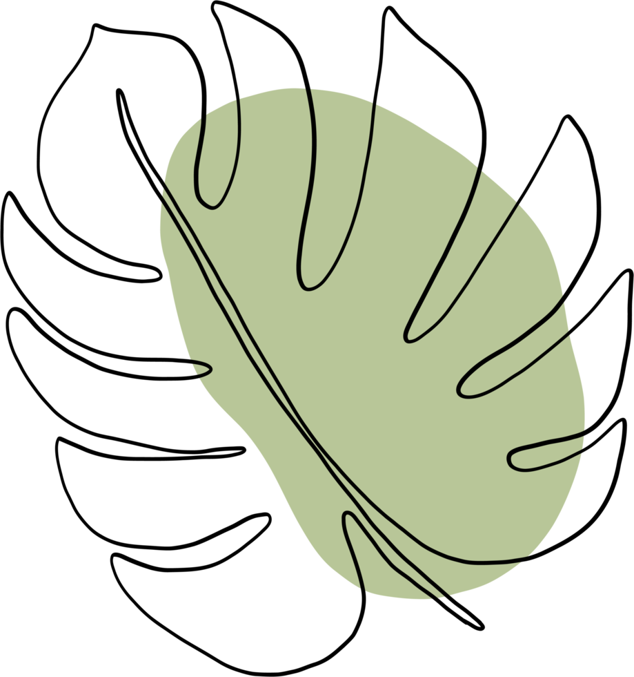 simplicity monstera plant freehand continuous line drawing png