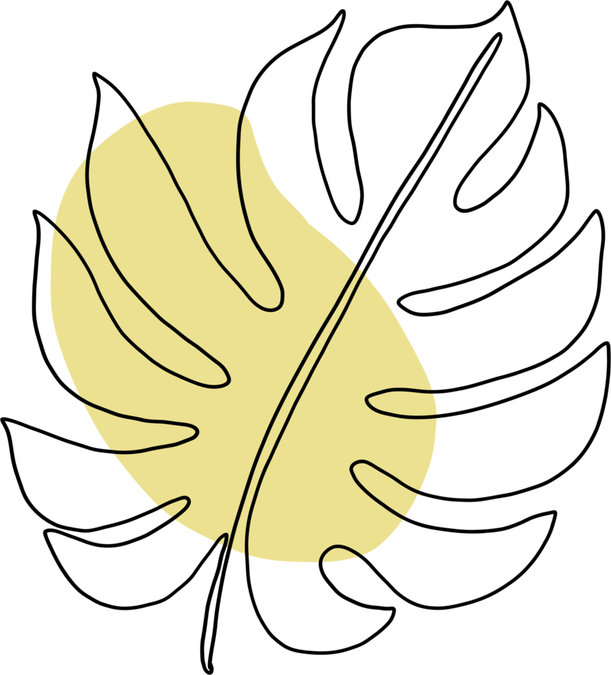 simplicity monstera plant freehand continuous line drawing png