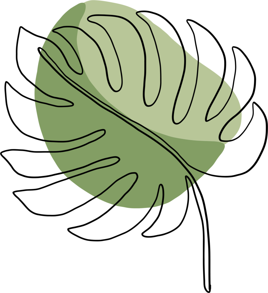 simplicity monstera plant freehand continuous line drawing png