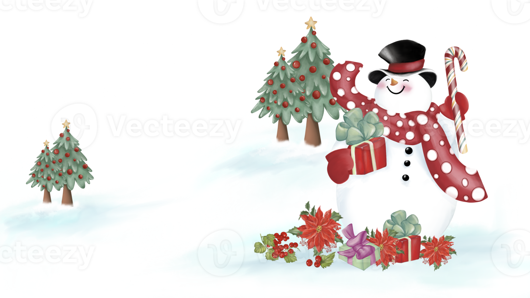 Snowman with a black hat and red scarf with circle pattern is holding gift box and a candy cane. Gift boxes, Christmas flowers and berries on the snow. Christmas Trees at behind. Watercolor  image. png