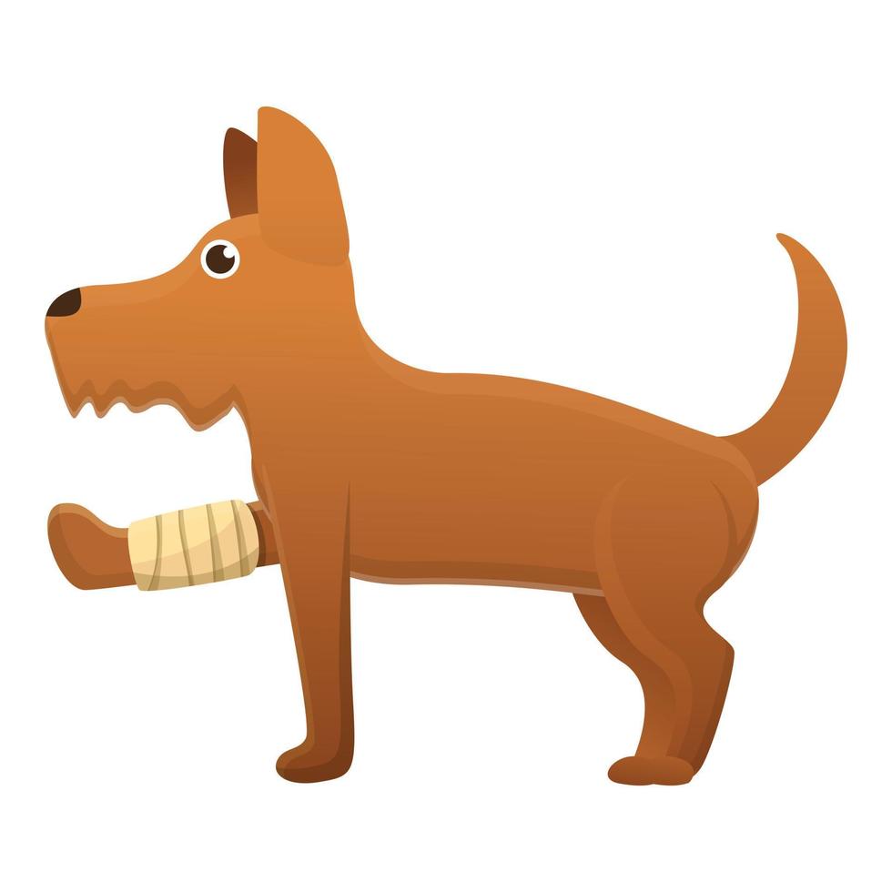 Dog Broken Leg Icon Cartoon Style 14221292 Vector Art At Vecteezy Dog Broken Leg Icon Cartoon Style 14221292 Vector Art At Vecteezy