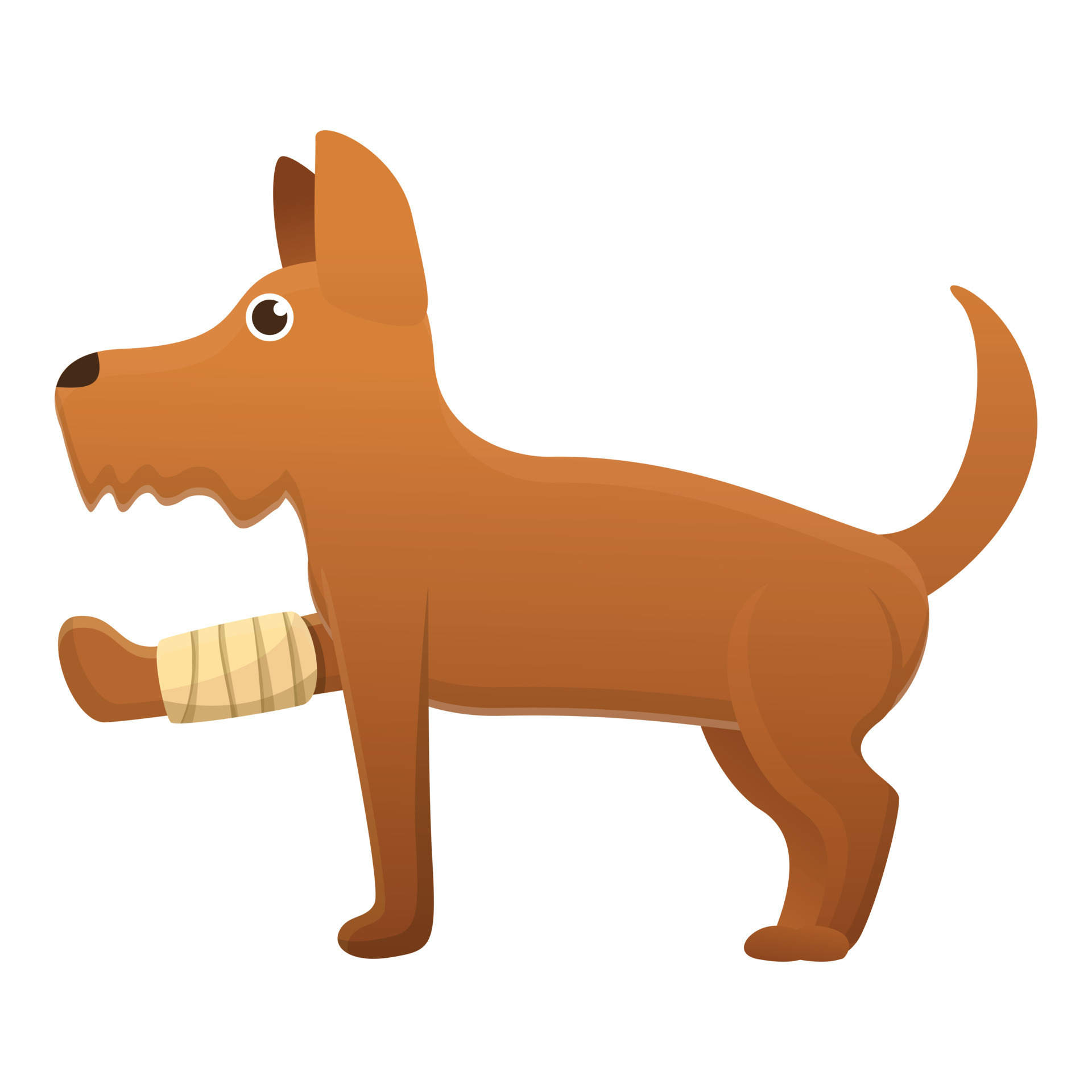 Dog Broken Leg Icon Cartoon Style 14221292 Vector Art At Vecteezy dog-broken-leg-icon-cartoon-style-14221292-vector-art-at-vecteezy