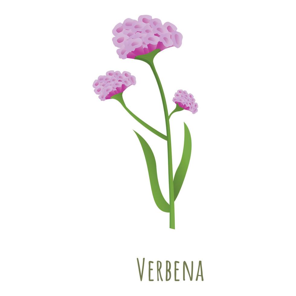 icono de flor de verbena, estilo de dibujos animados vector
