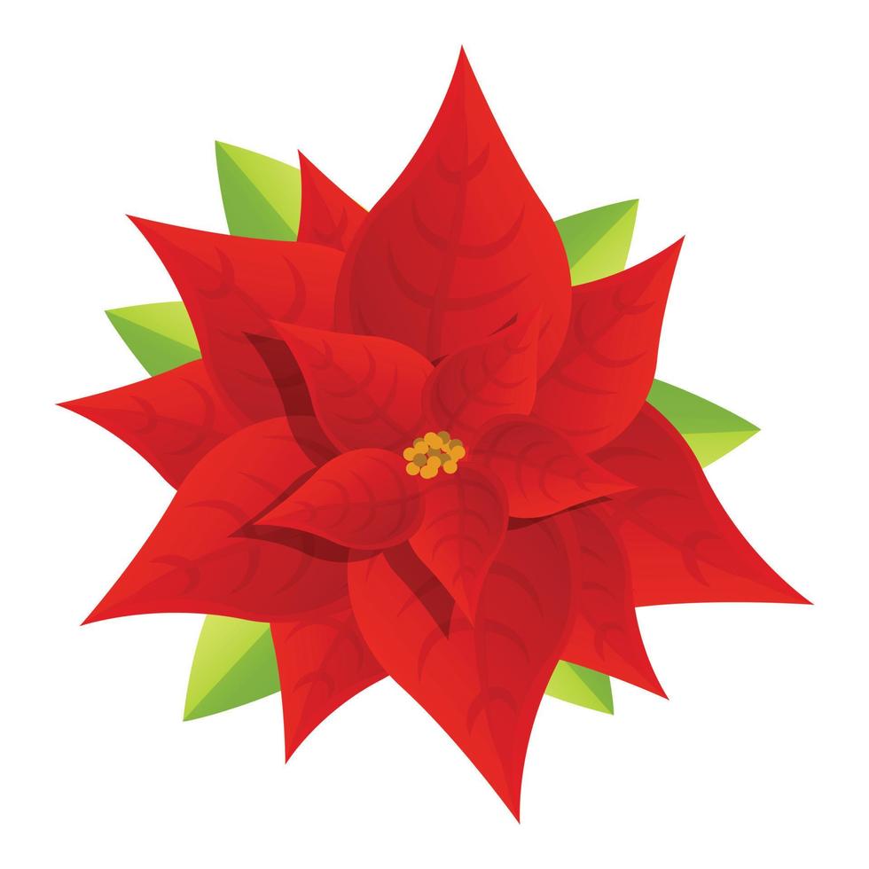 Poinsettia plant icon, cartoon style vector