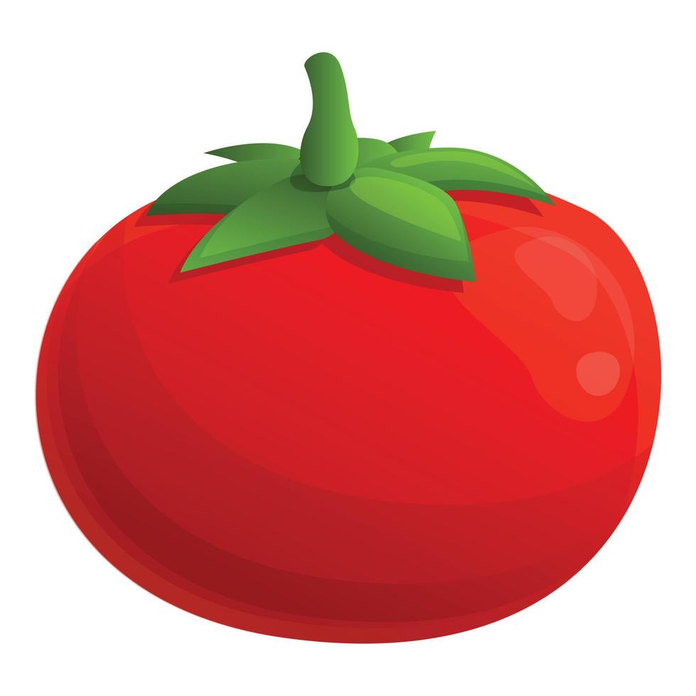 icono de tomate dulce, estilo de dibujos animados 14221976 Vector en  Vecteezy