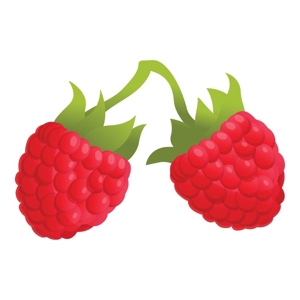 Garden raspberry icon, cartoon style vector