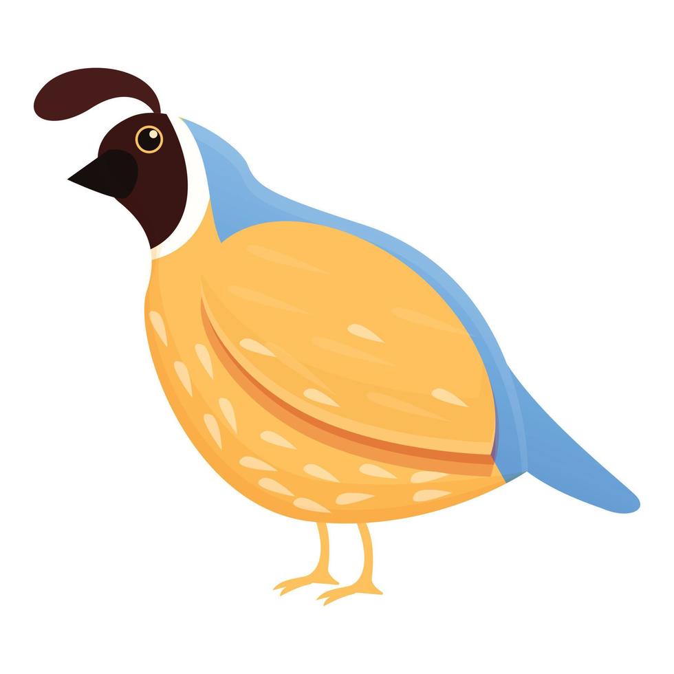 Feather quail icon, cartoon style vector