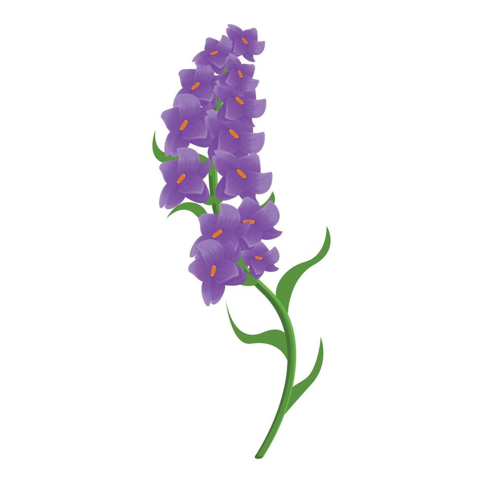 icono de lavanda botánica, estilo de dibujos animados vector