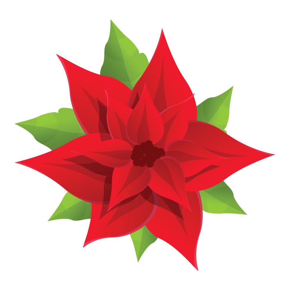 icono de poinsettia decorativa, estilo de dibujos animados vector