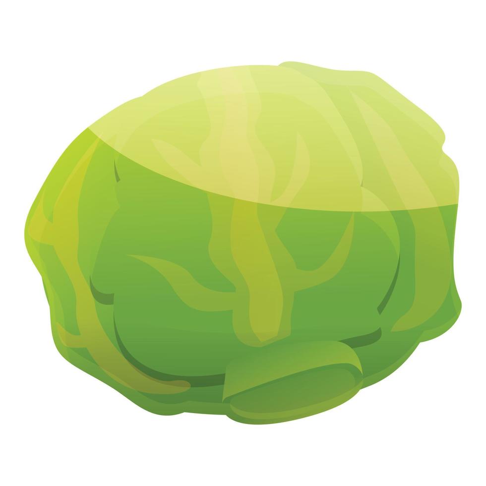 Diet cabbage icon, cartoon style vector