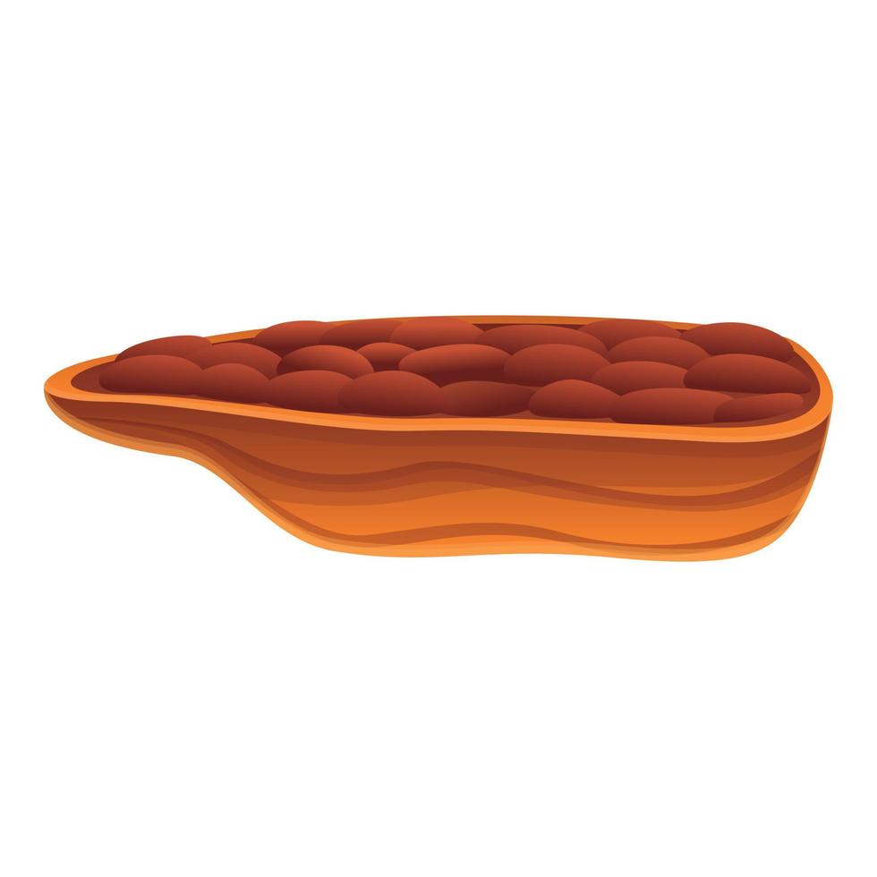 Half cutted cocoa icon, cartoon style vector