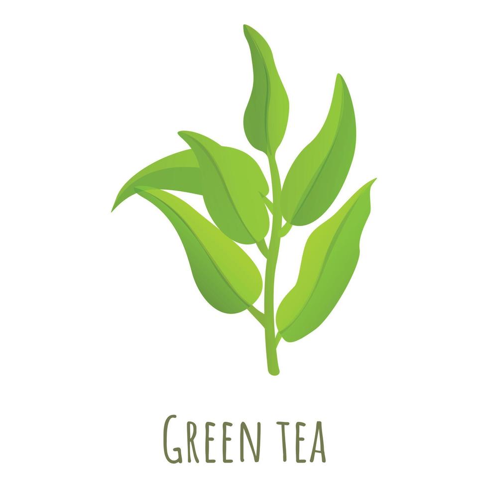 Green tea leaf icon, cartoon style vector