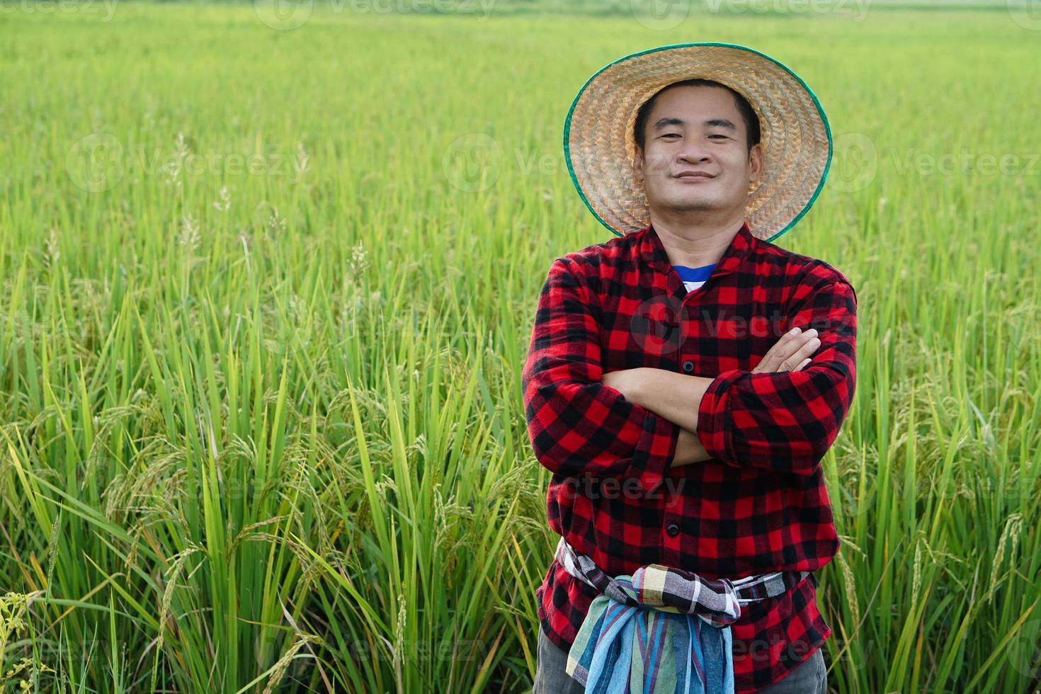 apuesto agricultor asiático está en el campo de arroz, usa sombrero, camisa roja a cuadros, brazos cruzados en el pecho, se siente seguro. concepto, ocupación agrícola. granjero tailandés. trabajando con la naturaleza. Agricultura ecológica. foto