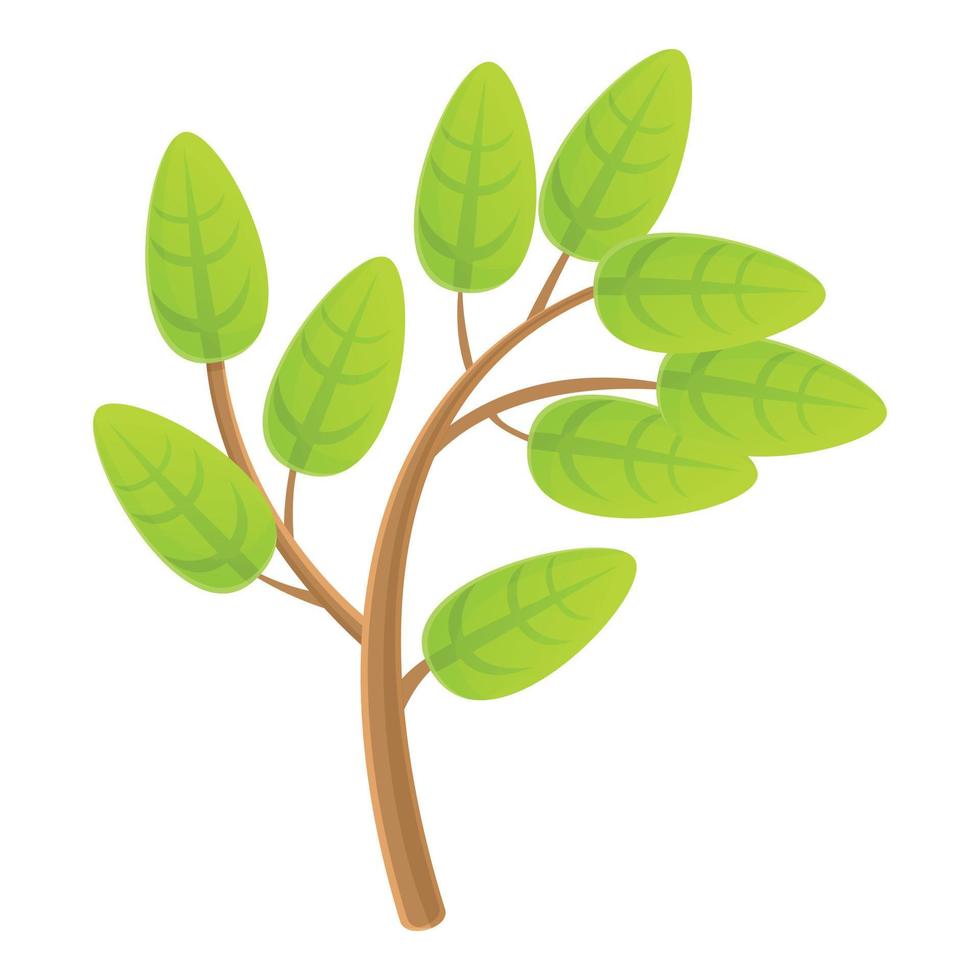 Eco tree branch icon, cartoon style vector