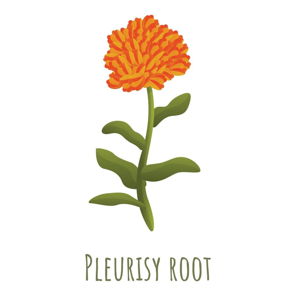 Pleurisy root icon, cartoon style vector