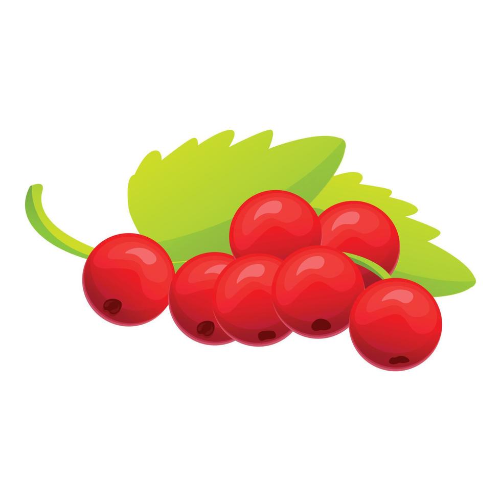 Red currant berry icon, cartoon style vector