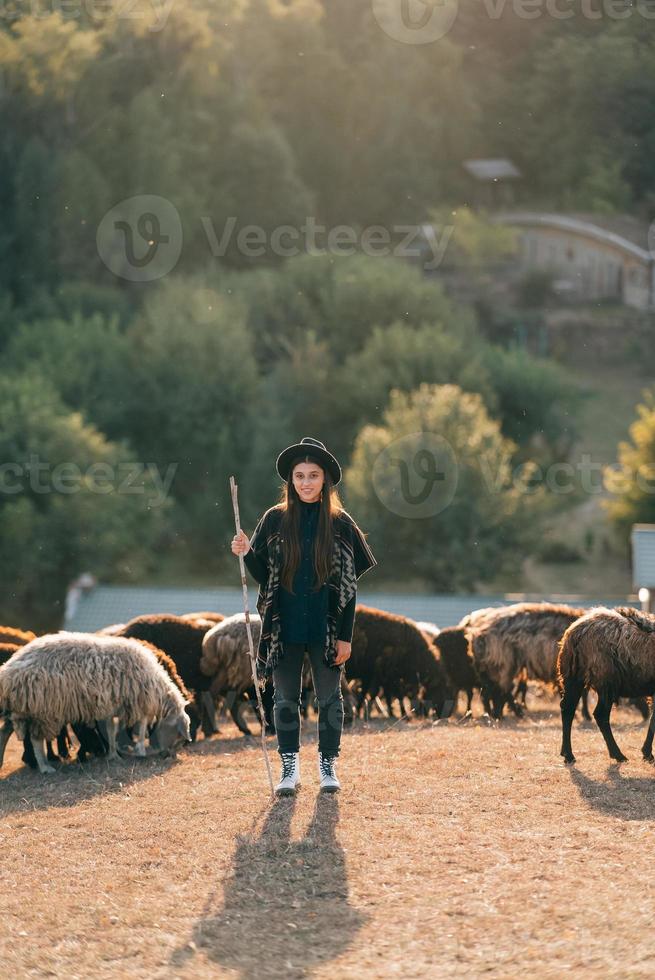 Female shepherd and flock of sheep at a lawn photo