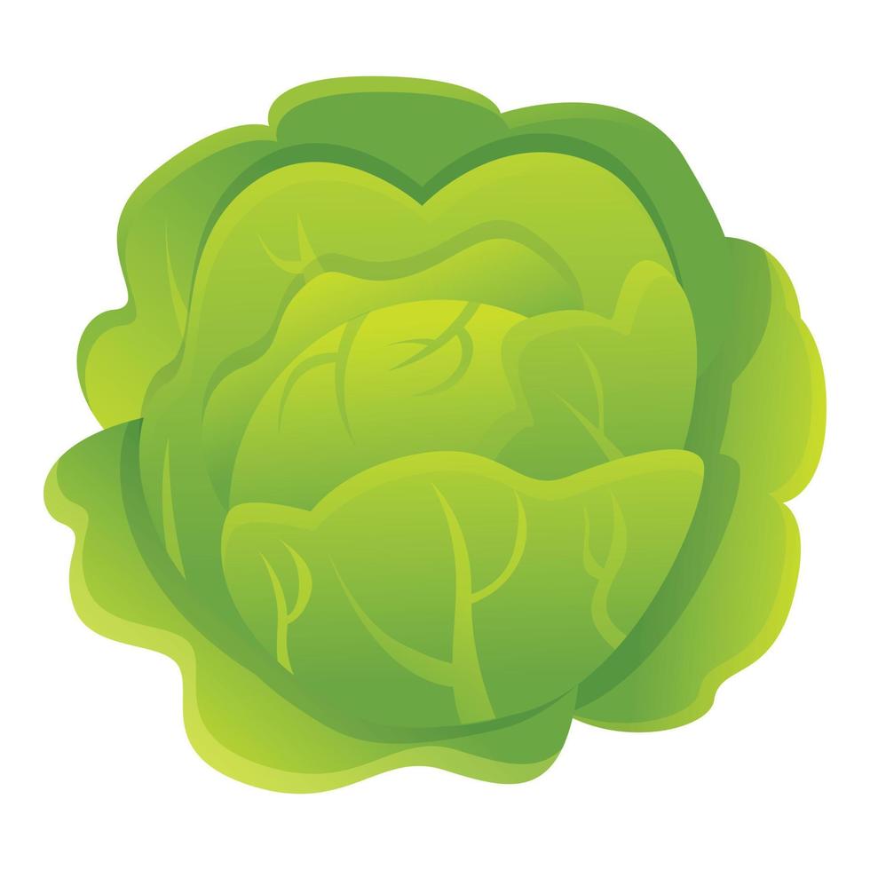Vegetable cabbage icon, cartoon style vector