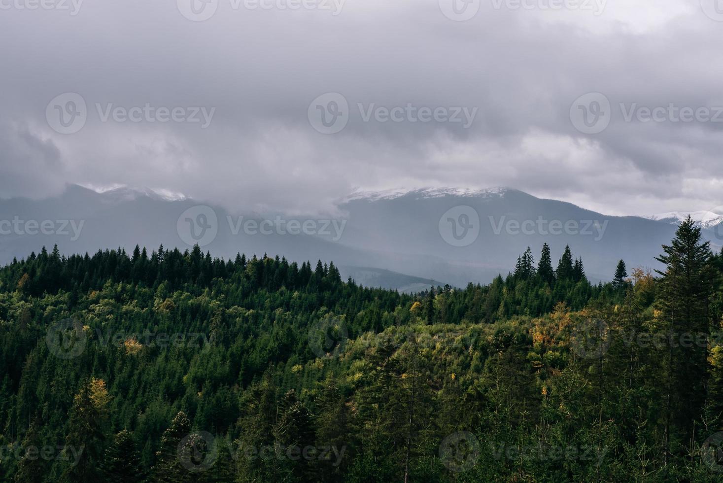 paisaje de bosques y montañas de coníferas viaje paisaje sereno foto