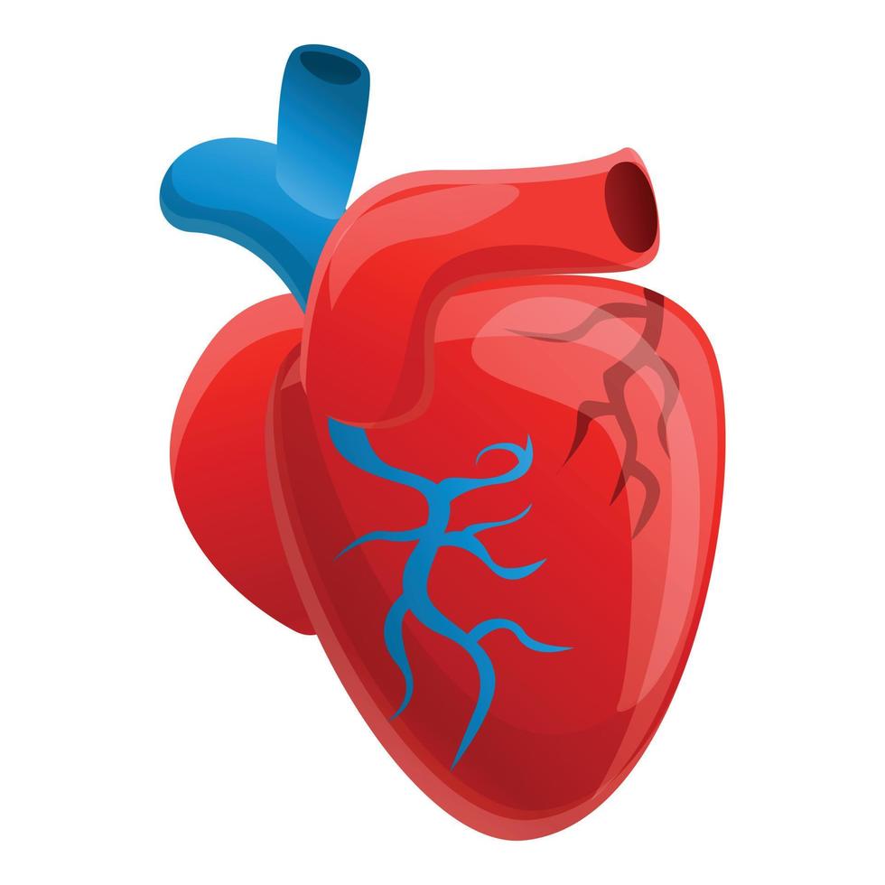 Biology human heart icon, cartoon style vector