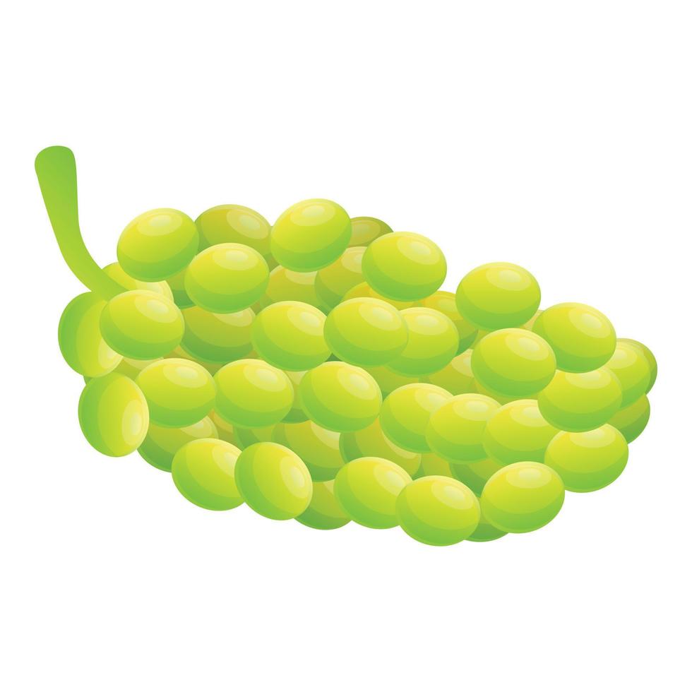 icono de uvas verdes, estilo de dibujos animados vector