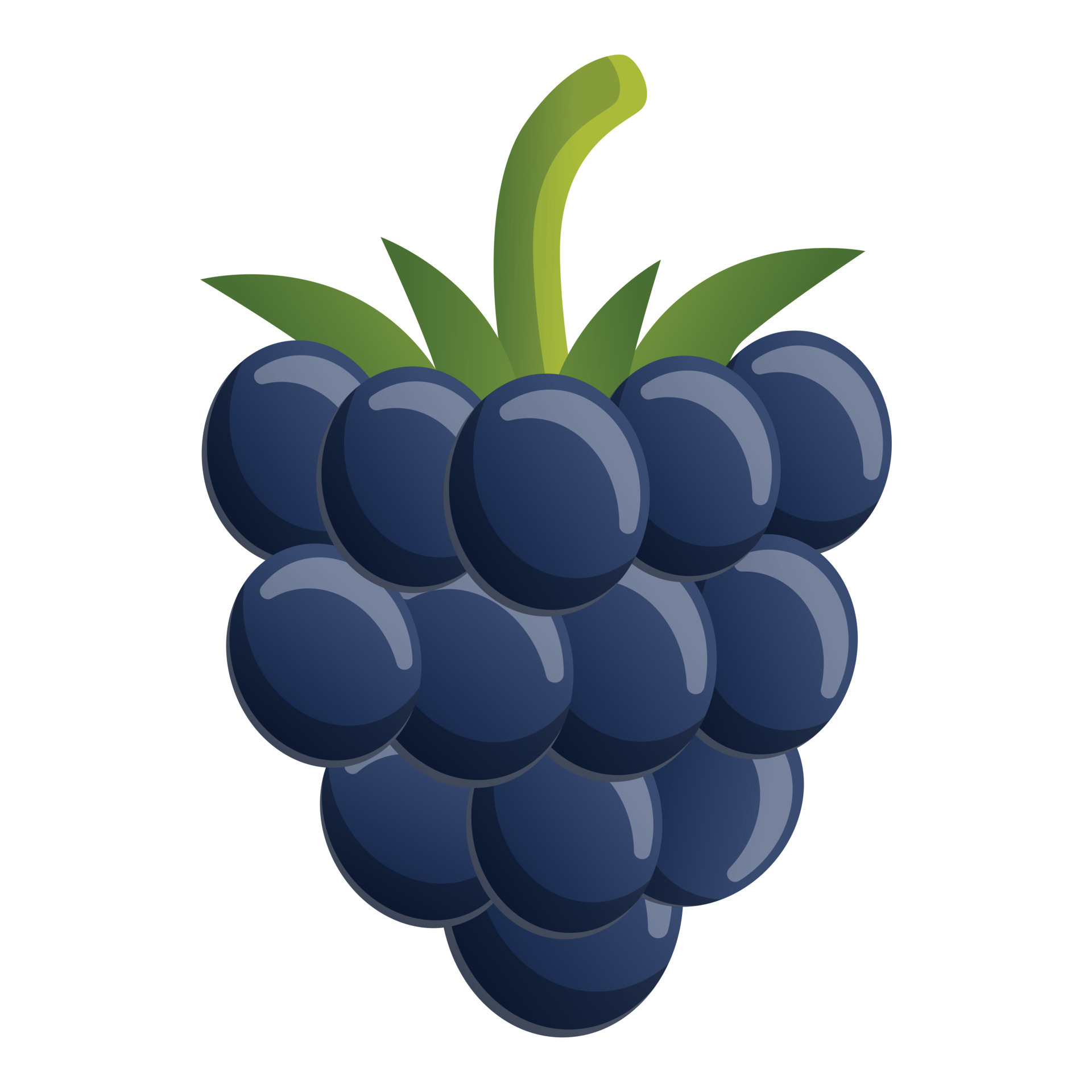 Forest blackberry icon, cartoon style 14224683 Vector Art at Vecteezy