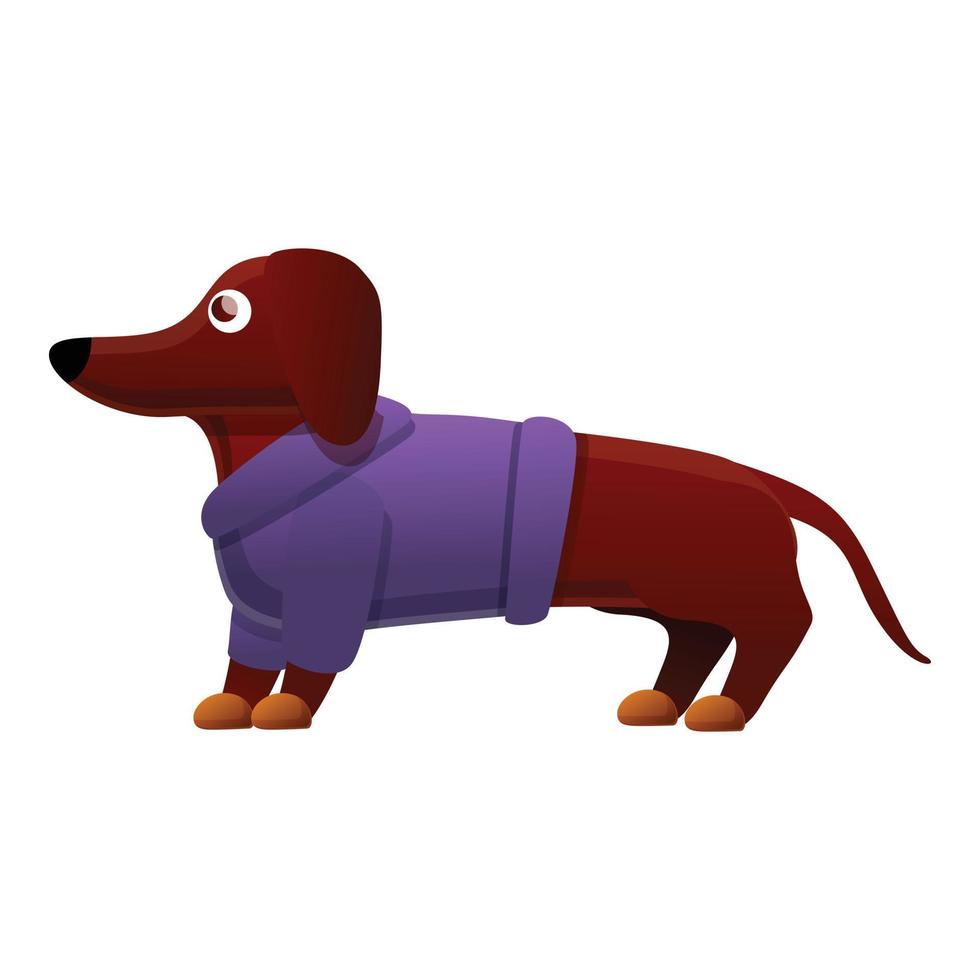 Dachshund clothes icon, cartoon style vector