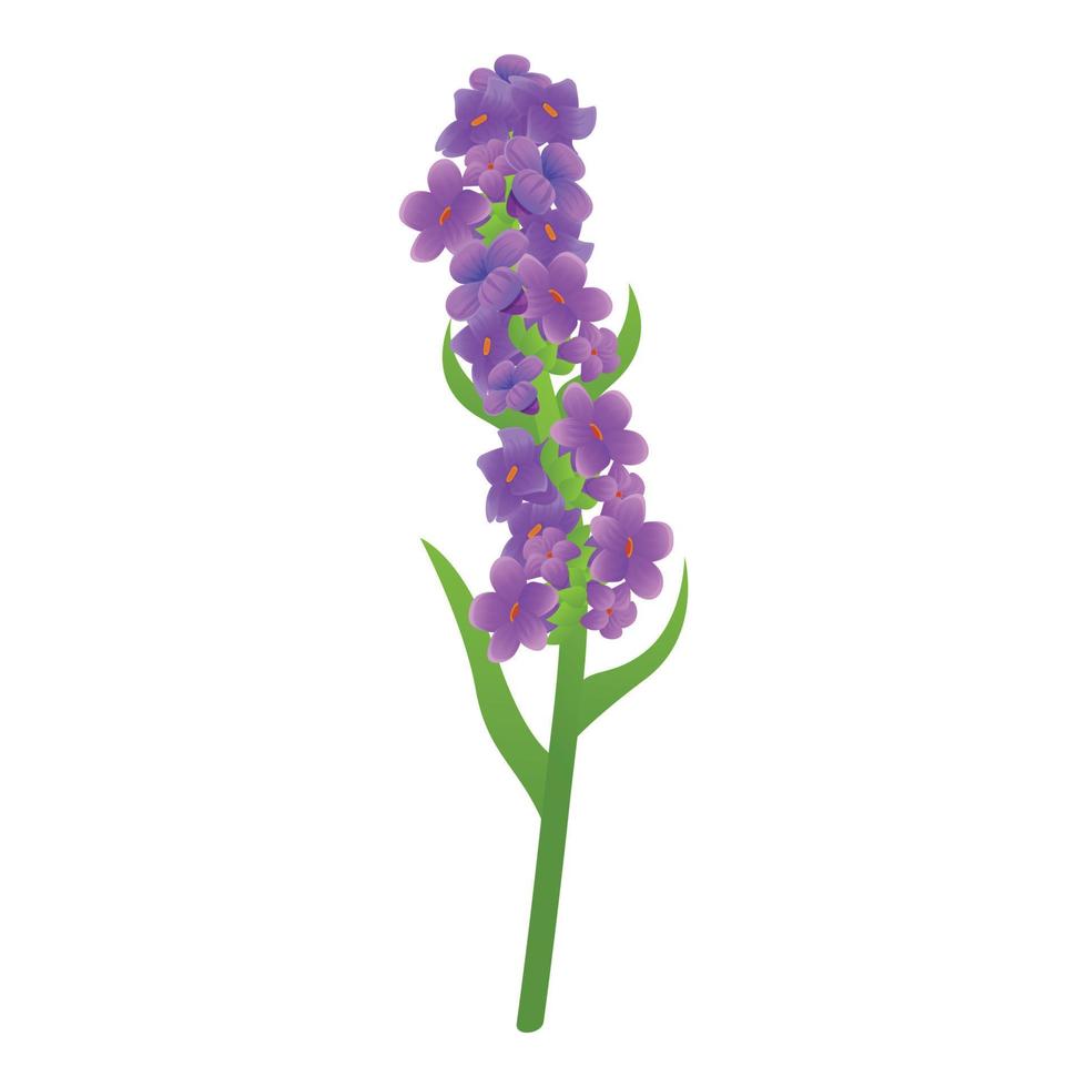 icono de planta de lavanda, estilo de dibujos animados vector