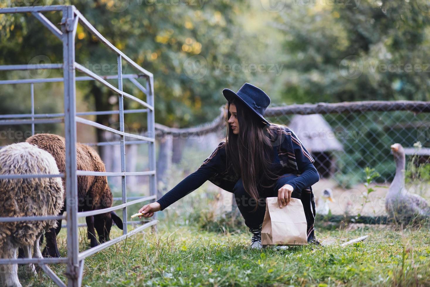 una mujer hermosa joven alimenta una oveja en el pueblo foto