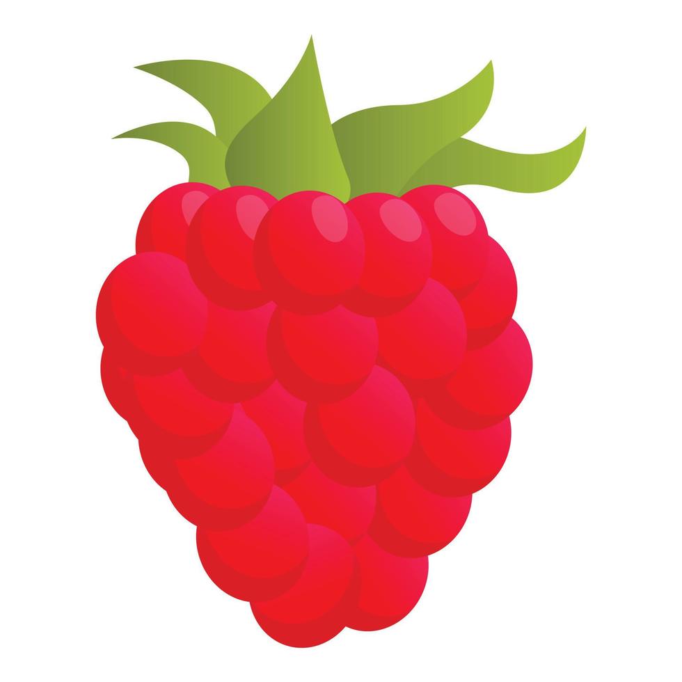 Raspberry food icon, cartoon style vector