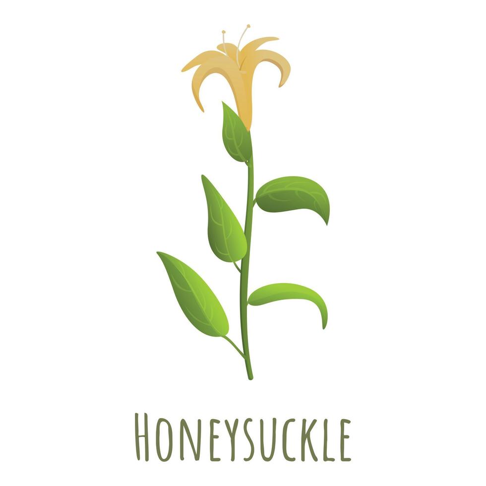 Honeysuckle plant icon, cartoon style vector