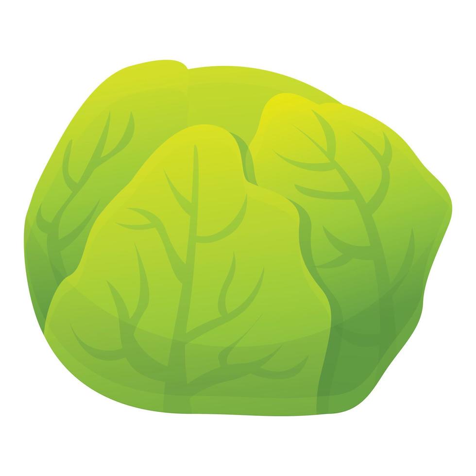 Cabbage icon, cartoon style vector