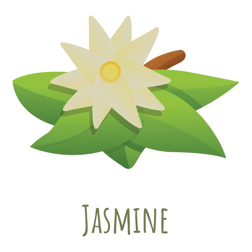 Jasmine flower icon, cartoon style vector