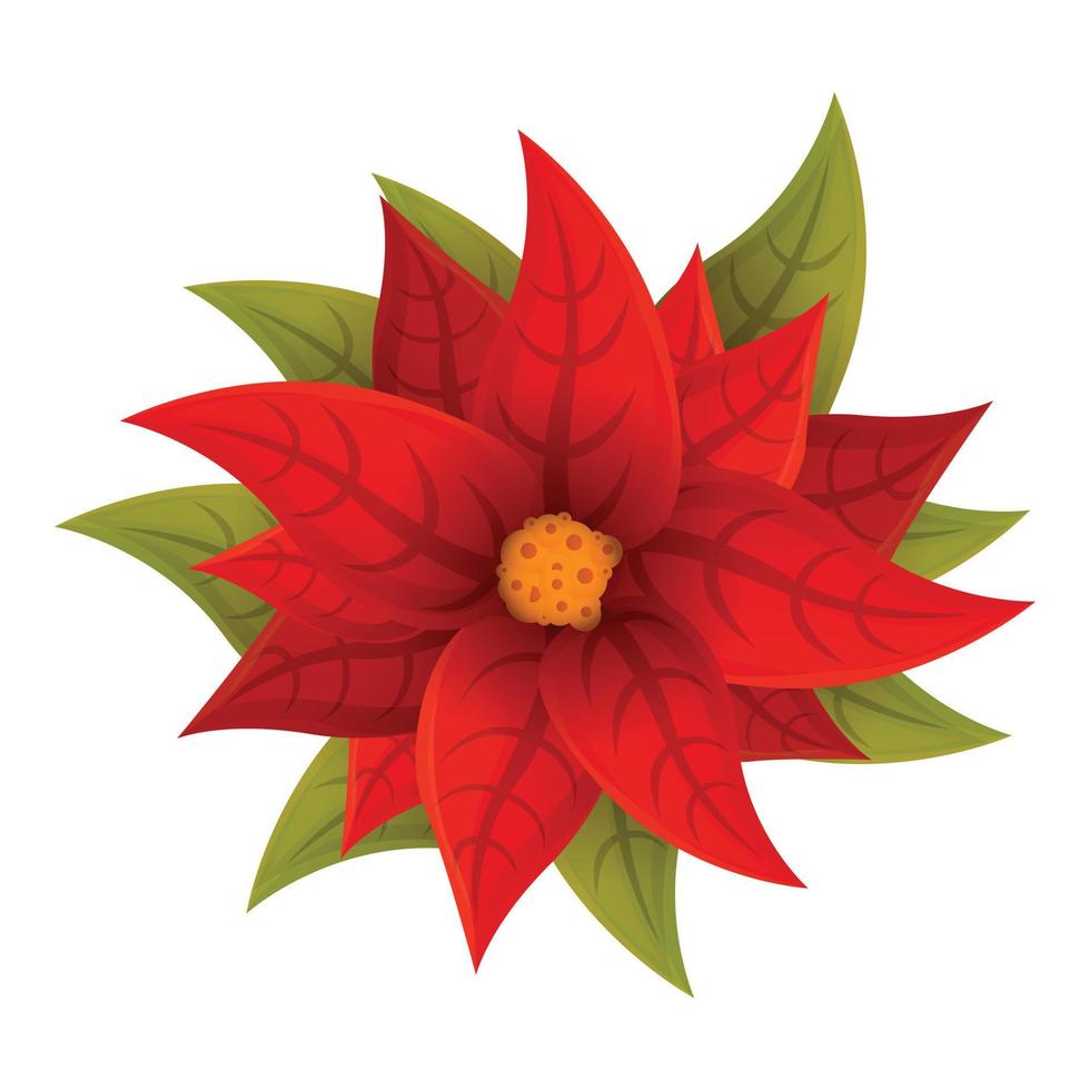 hermoso icono de poinsettia, estilo de dibujos animados vector