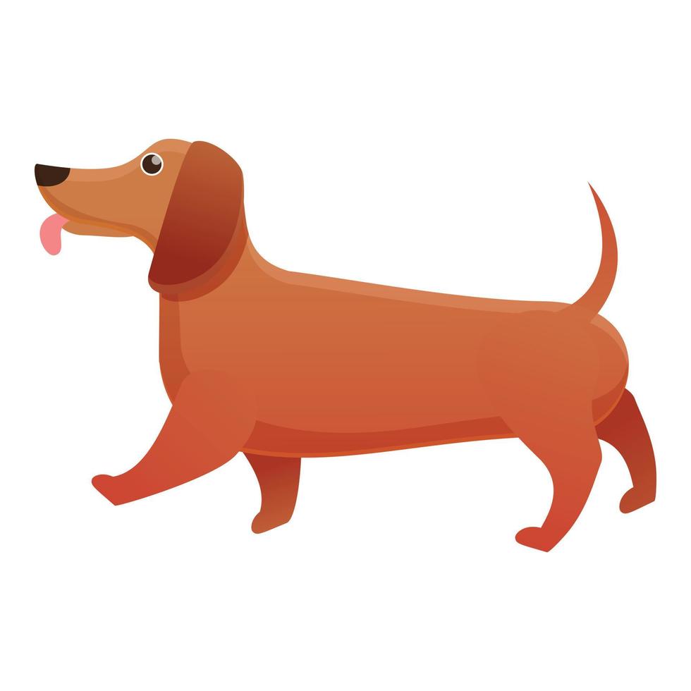 Domestic dachshund icon, cartoon style vector