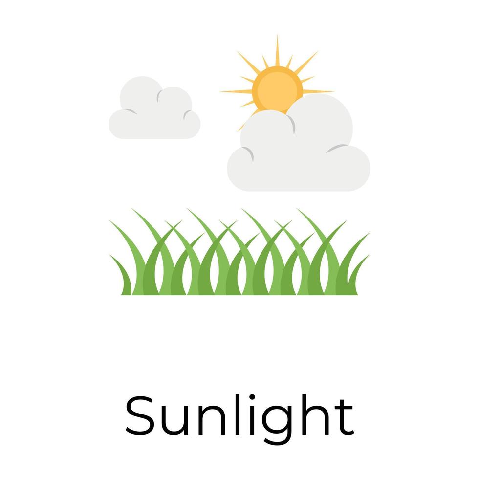 Trendy Sunlight Concepts vector